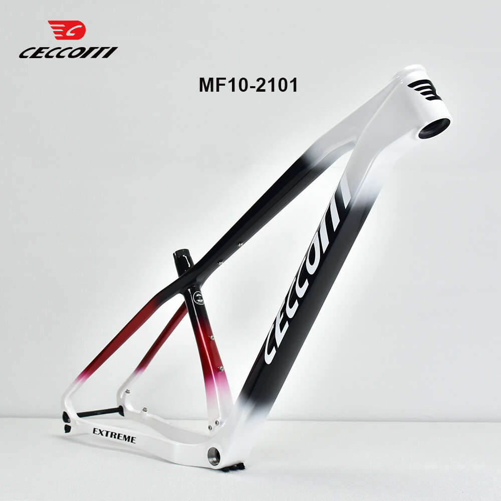 CECCOTTI 29er MTB Kadro BSA 14 - Mountain Biking Uk incelemesi ve fiyatı