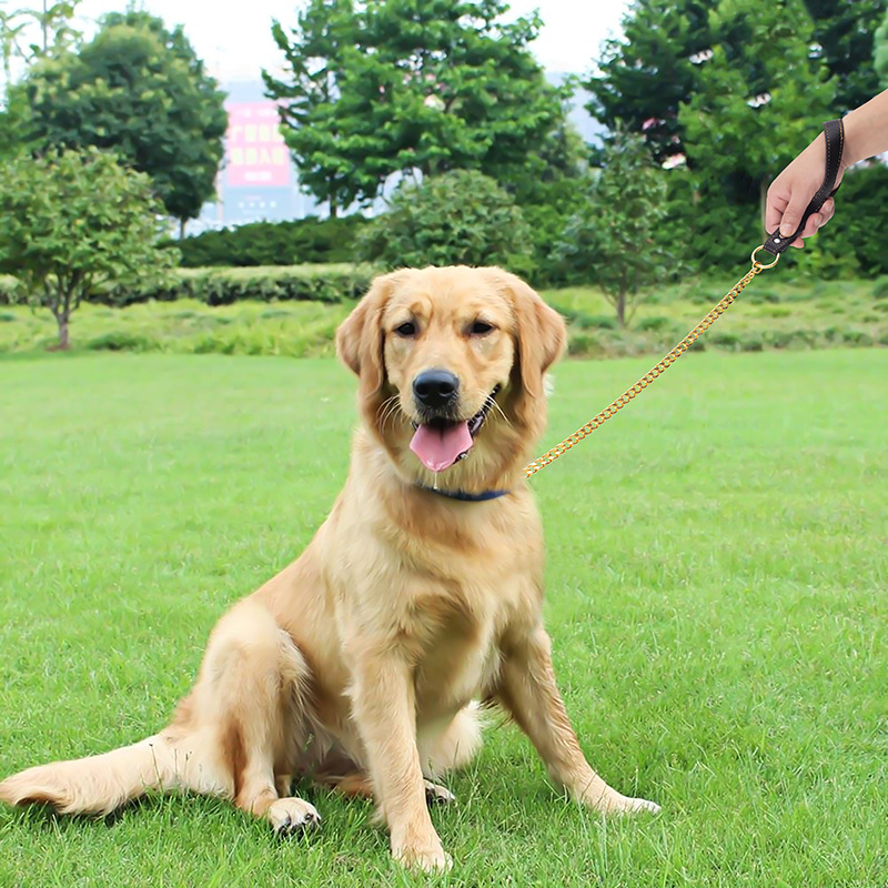 Lüks 18 K Altın Köpek Zincir T - Chain Quick Link incelemesi ve fiyatı